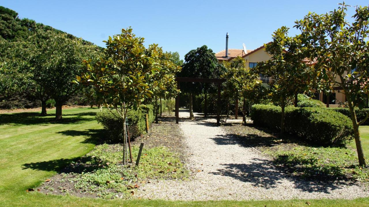 Tuscany Downs Estate Darfield Exteriér fotografie